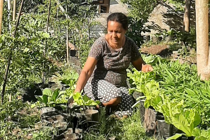 Mama Lily’s Farmer’s Chef