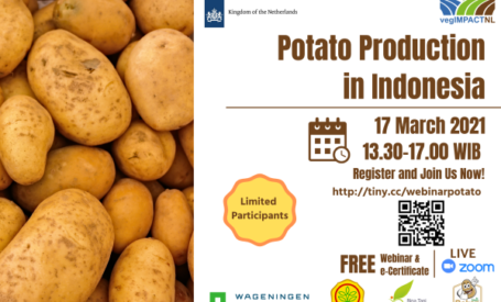 Potato Production in Indonesia